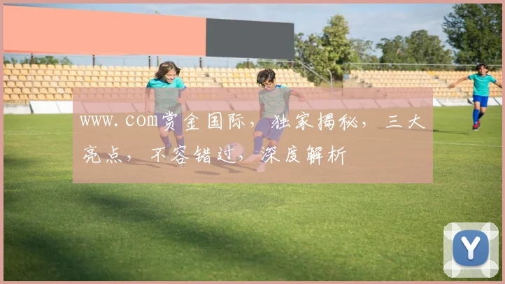 www.com赏金国际，独家揭秘，三大亮点，不容错过，深度解析