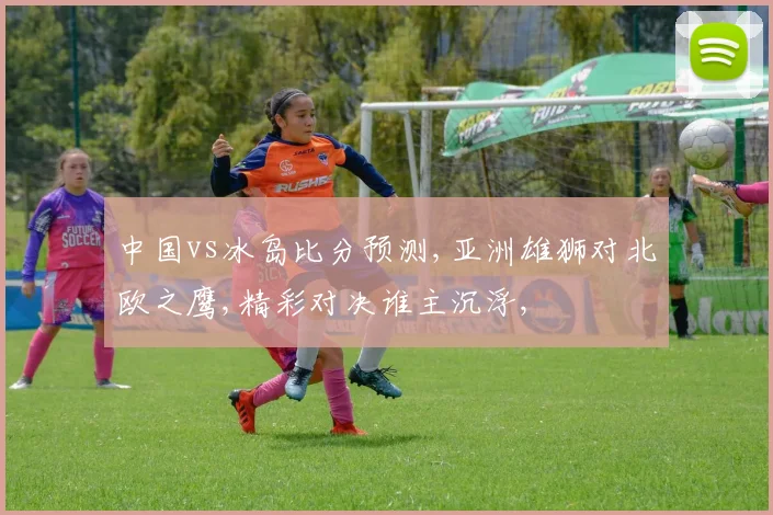 中国vs冰岛比分预测,亚洲雄狮对北欧之鹰,精彩对决谁主沉浮,