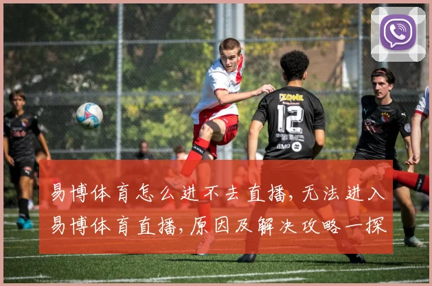 易博体育怎么进不去直播,无法进入易博体育直播,原因及解决攻略一探究竟