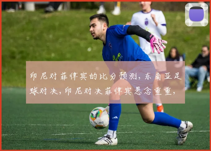 印尼对菲律宾的比分预测,东南亚足球对决,印尼对决菲律宾悬念重重,谁将笑到最后