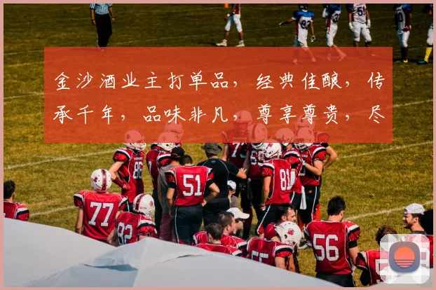 金沙酒业主打单品，经典佳酿，传承千年，品味非凡，尊享尊贵，尽在每一滴。