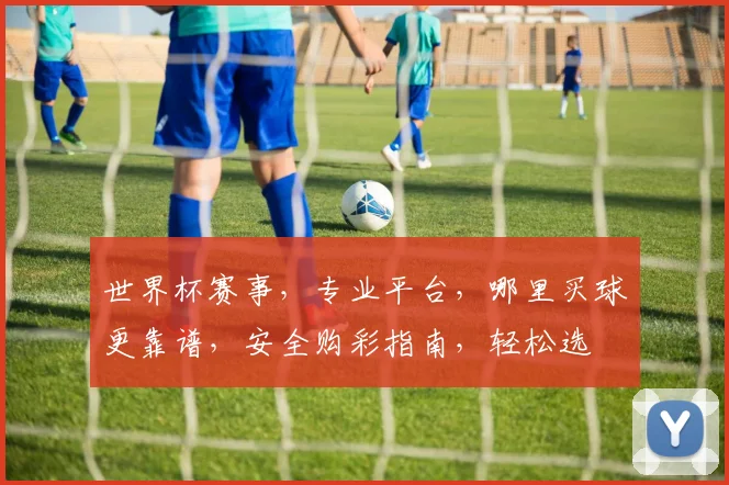 世界杯赛事，专业平台，哪里买球更靠谱，安全购彩指南，轻松选