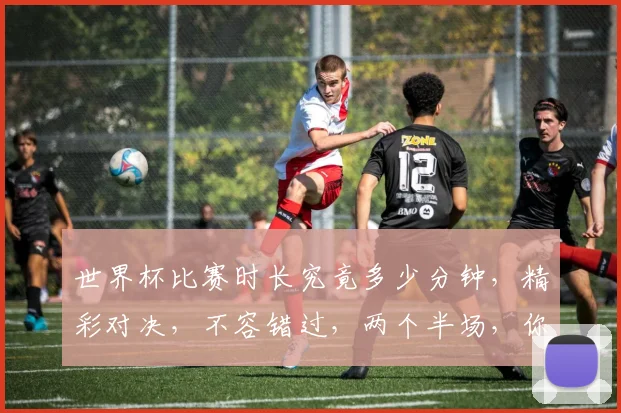 世界杯比赛时长究竟多少分钟，精彩对决，不容错过，两个半场，你准备好了吗